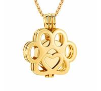 Oinsi Bijou funéraire pour animal domestique pour cendres de chien/chat - En acier inoxydable - Médaillon urne funéraire à l'intérieur - Mini étui souvenir - Bijoux funéraires pour femmes et hommes