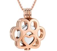 Oinsi Bijou funéraire pour animal domestique pour cendres de chien/chat - En acier inoxydable - Médaillon urne funéraire à l'intérieur - Mini étui souvenir - Bijoux funéraires pour femmes et hommes,