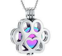 Oinsi Collier Funéraire pour Animaux Domestiques en Acier Inoxydable avec Pendentif en Forme de Patte de Chien/Chat pour Cendres - Urne avec Mini Boîte de Garde - Bijou Funéraire pour Femmes et Hommes