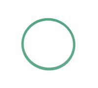 oint d'étanchéité, collecteur d'admission REINZ 71-39303-00