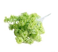 Oiseau artificiel pour nid avec 7 oiseaux pour décoration murale, fausse plante verte pour intérieur ou extérieur, maison, bureau (blanc)