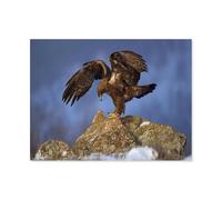 Oiseau de Proie，Jigsaw Puzzles Puzzle, 1000 Pièces en Papier Adultes Puzzles, Enfants Cerveau IQ Développement Cadeau（38x26cm）-F4