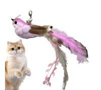 Oiseau des jouets de chat | Jouet de chat d'oiseau interactif à l'épreuve des morsures | Toys de Spring Bird Cat | Toys de chaton suspendus pour les chats domestiques pour jouer et s'entraîner