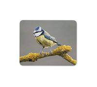 Oiseau Mésange Bleue Regarder Tapis de Souris Pad - Faune Mignon Divertissement Ordinateur # 16226 Cadeau