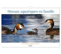 Oiseaux aquatiques en famille (Calendrier mural 2027 DIN A4 vertical), CALVENDO calendrier mensuel: Oiseaux aquatiques avec leur progéniture au quotidien