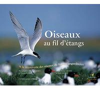 Oiseaux au fil d'étangs: A la découverte des oiseaux du littoral languedocien