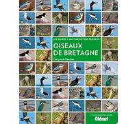Oiseaux de Bretagne
