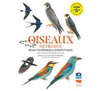 Oiseaux de France Beaux, vulnérables ou emblématiques - François Desbordes - Delachaux et niestlé - broché - Guide