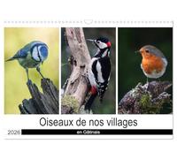 Oiseaux de nos villages en Gâtinais (Calendrier mural 2026 DIN A3 horizontal), CALVENDO calendrier mensuel