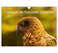 Oiseaux de Nouvelle-Zélande (Calendrier mural 2027 DIN A4 vertical), CALVENDO calendrier mensuel: Photographies d'oiseaux de Nouvelle - Zélande