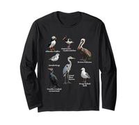 Oiseaux de Rivage Biologiste Ornithologue Nature Oiseau Manche Longue