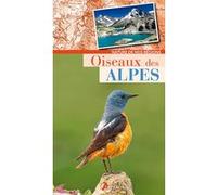 Oiseaux des Alpes Collectif (Auteur)