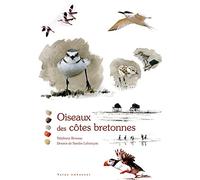 Oiseaux des côtes bretonnes