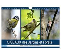 OISEAUX des Jardins et Forêts (Calendrier mural 2026 DIN A4 horizontal), CALVENDO calendrier mensuel