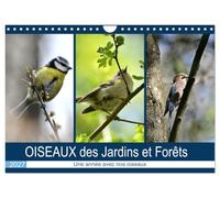 OISEAUX des Jardins et Forêts (Calendrier mural 2027 DIN A4 vertical), CALVENDO calendrier mensuel: Différentes rencontres avec nos amis à plumes