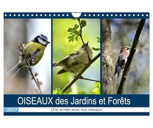 OISEAUX des Jardins et Forêts (Calendrier mural 2027 DIN A4 vertical), CALVENDO calendrier mensuel: Différentes rencontres avec nos amis à plumes