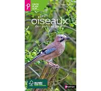Oiseaux des parcs et des jardins – Miniguide tout terrain – Nathan