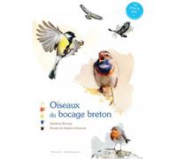 Oiseaux du bocage breton - Stéphane Brousse - Yoran Embanner - cartonné - Guide