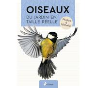 Oiseaux du jardin en taille réelle Photos à l'échelle - Collectif - Artemis Eds - relié - Beau livre