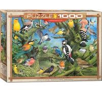 OISEAUX DU JARDIN / JOHN FRANCIS - 1000 pcs - 9+ - #6000-0967