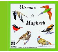 OISEAUX DU MAGHREB