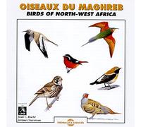 Oiseaux du Maghreb