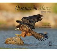 Oiseaux du maroc - Ignacio Yufera - La Croisee Des Chemins - cartonné - Guide