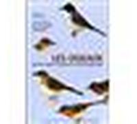 Oiseaux du Parc naturel du Haut-Languedoc - Collectif - Rouergue - broché - Beau livre