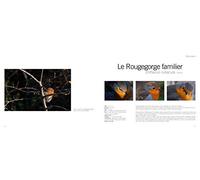Oiseaux entre garrigues et Méditerranée: Tome 2