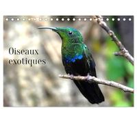 Oiseaux exotiques (Calendrier de bureau 2026 DIN A5 vertical), CALVENDO calendrier mensuel: Oiseaux exotiques du monde entier