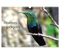 Oiseaux exotiques (Calendrier mural 2027 DIN A3 vertical), CALVENDO calendrier mensuel: Oiseaux exotiques du monde entier