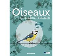 Oiseaux grandeur nature: Identifier facilement les oiseaux du jardin !