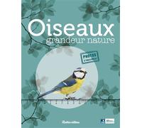 Oiseaux grandeur nature Identifier facilement les oiseaux du jardin ! - Guilhem Lesaffre - Rustica - broché - Guide