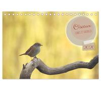 Oiseaux libres et sauvages (Calendrier de bureau 2026 DIN A5 vertical), CALVENDO calendrier mensuel: Oiseaux libres et sauvages dans leur milieu naturel.