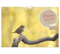 Oiseaux libres et sauvages (Calendrier mural 2026 DIN A4 vertical), CALVENDO calendrier mensuel: Oiseaux libres et sauvages dans leur milieu naturel.