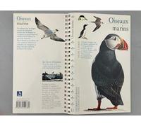 Oiseaux marins