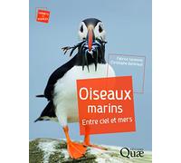 Oiseaux marins: Entre ciel et mers