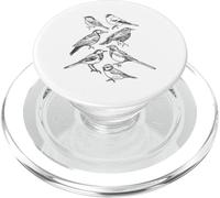 Oiseaux Observant Les Oiseaux - Différents Types d'oiseaux PopSockets PopGrip pour MagSafe