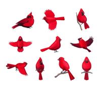 Oiseaux Ornements pour Arbre De Noël Type 2D - 10 Pièces Oiseaux Rouges Décor Suspendable,Pendentif en Bois pour Fêtes Maison Cuisine Chambre École Boutique Affichage Petits Espaces