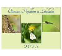 Oiseaux, Papillons et Libellules (Calendrier mural 2027 DIN A3 vertical), CALVENDO calendrier mensuel: Une année en compagnie de petits êtres de la nature