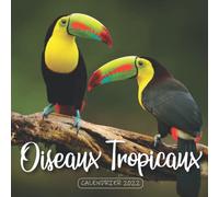 Oiseaux Tropicaux Calendrier 2022: Calendrier 12 mois, de janvier 2022 à décembre 2022 - 8.5 po x 8.5 po - Un accessoire pratique pour vous aider à planifier et suivre votre vie quotidienne