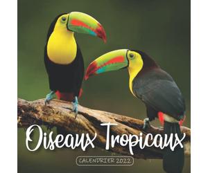 Oiseaux Tropicaux Calendrier 2022: Calendrier 12 mois, de janvier 2022 à décembre 2022 - 8.5 po x 8.5 po - Un accessoire pratique pour vous aider à planifier et suivre votre vie quotidienne