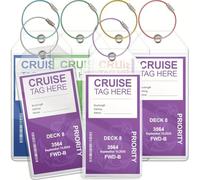 OIXEYA Porte Étiquette Valise de bagages pour croisières, PVC et étanche, transparentes, idéales pour Aida, TUI, Mein Schiff, avec 6 bandes métalliques vissables, Luggage Tag (6 pcs, 19 * 9cm)