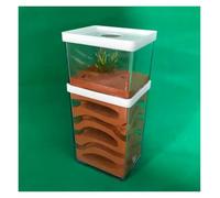 OJHFJMGH Colonie de Fourmis, Fourmilière, nid, château, fourmilière, Plastique Transparent, Atelier de Gypse, boîte d'alimentation