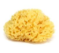 OKBABY - Arcipelago - Eponge Naturelle de la Mediterranée pour le Bain du Nouveau-né - Taille 10