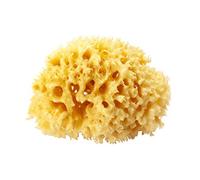 OKBABY - Arcipelago - Eponge Naturelle de la Mediterranée pour le Bain du Nouveau-né - Taille 14