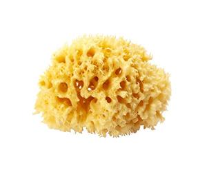 OKBABY - Arcipelago - Eponge Naturelle de la Mediterranée pour le Bain du Nouveau-né - Taille 14