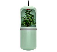 Okeeyseda Automatique Boire de l'eau Reptile Boire de l'eau LéZard Distributeur d'alimentation Amphibiens de Terrarium - Prise EuropéEnne