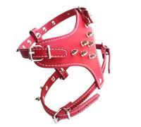 Okeeyseda Gilet de Harnais pour Chien en Cuir Clouté à Pointes pour Petites Races, Laisse pour Chien, Collier pour Chien 1 Pièce Rouge