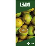 OKI FASTDISP A3 W-mounted METAL 30x90CM